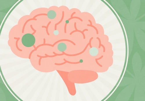 How does cbd work on the brain?